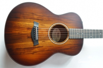 GS Mini-e KOA Plus